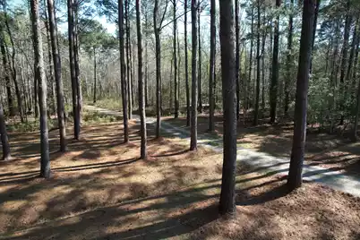 6042 Pawlett Blake Lane, Wadmalaw Island, SC 29487 - Photo 78