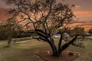 4454 Cottageville Hwy, Round O, SC 29474 - Photo 2