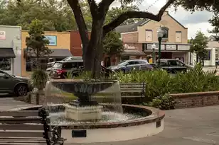 201 Tea Farm Rd, Summerville, SC 29483 - Photo 74