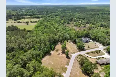 00 Capers Road, Walterboro, SC 29488 - Photo 8