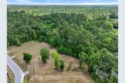 0 Capers Road, Walterboro, SC 29488 - Photo 4