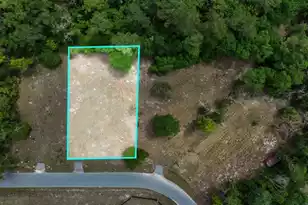 0 Capers Rd, Walterboro, SC 29488 - Photo 1