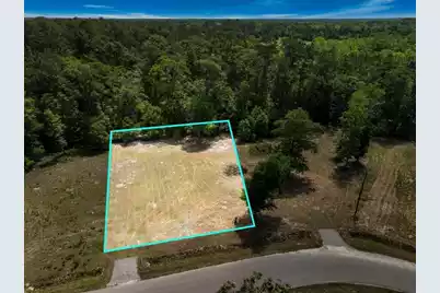 0 Capers Road, Walterboro, SC 29488 - Photo 2