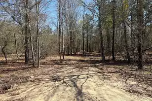 Bhl 10 Boise Cascade #Bhl 10, Bethune, SC 29009 - Photo 2