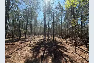 Bhl 10 Boise Cascade #Bhl 10, Bethune, SC 29009 - Photo 10