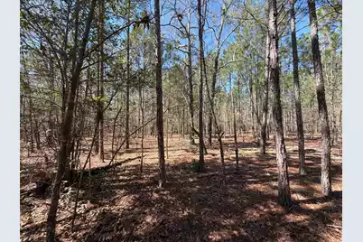 Bhl 10 Boise Cascade #Bhl 10, Bethune, SC 29009 - Photo 16