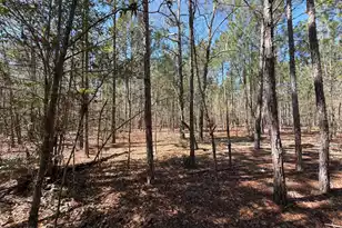 Bhl 10 Boise Cascade #Bhl 10, Bethune, SC 29009 - Photo 16