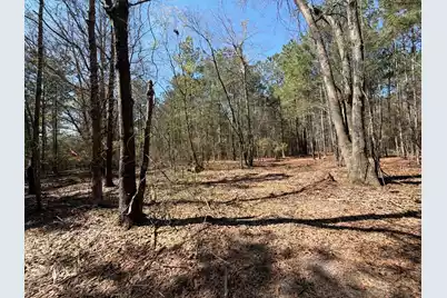 Bhl 11 Boise Cascade #Bhl 11, Bethune, SC 29009 - Photo 14