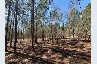 Bhl 11 Boise Cascade #Bhl 11, Bethune, SC 29009 - Photo 24