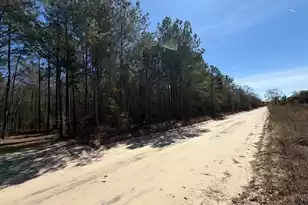 Bhl 11 Boise Cascade #Bhl 11, Bethune, SC 29009 - Photo 4