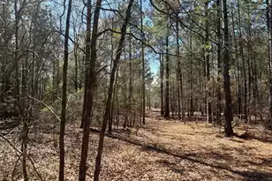 Bhl 11 Boise Cascade #Bhl 11, Bethune, SC 29009 - Photo 12