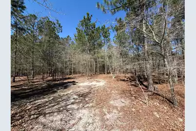 Bhl 11 Boise Cascade #Bhl 11, Bethune, SC 29009 - Photo 16