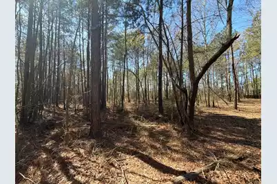 Bhl 11 Boise Cascade #Bhl 11, Bethune, SC 29009 - Photo 6