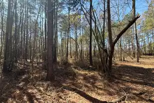 Bhl 11 Boise Cascade #Bhl 11, Bethune, SC 29009 - Photo 6