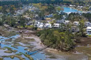 3891 Sawyers Island Dr, Mount Pleasant, SC 29466 - Photo 60