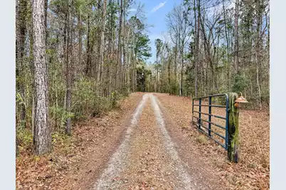 7769 Old Jacksonboro Road, Adams Run, SC 29426 - Photo 50