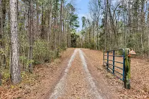 7769 Old Jacksonboro Rd, Adams Run, SC 29426 - Photo 50