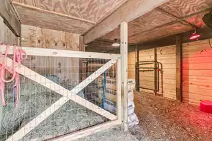 7769 Old Jacksonboro Rd, Adams Run, SC 29426 - Photo 34