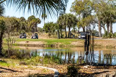 16 Twin Oaks Lane, Isle Of Palms, SC 29451 - Photo 42