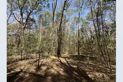 5194 Kuzia Road, Meggett, SC 29449 - Photo 6