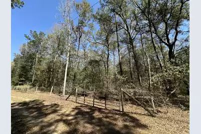 5194 Kuzia Road, Meggett, SC 29449 - Photo 2