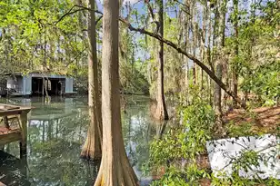 384 Suwanee Dr, Vance, SC 29163 - Photo 36