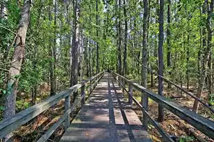 1705 Blalock St, Mount Pleasant, SC 29466 - Photo 60