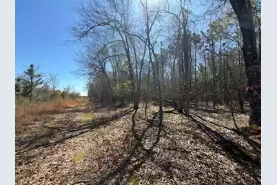 Bhl 12 Boise Cascade #Bhl 12, Bethune, SC 29009 - Photo 4