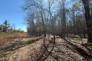 Bhl 12 Boise Cascade #Bhl 12, Bethune, SC 29009 - Photo 4