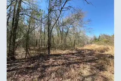 Bhl 12 Boise Cascade #Bhl 12, Bethune, SC 29009 - Photo 8