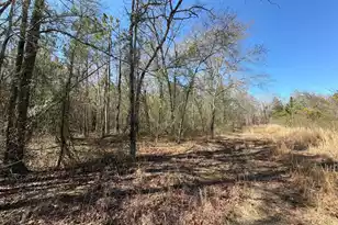 Bhl 12 Boise Cascade #Bhl 12, Bethune, SC 29009 - Photo 8