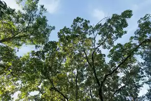 19 Gordon St, Charleston, SC 29403 - Photo 46