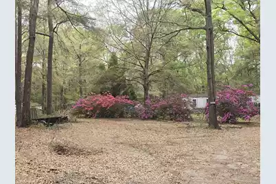 6810 Ingalsbe Drive, Ravenel, SC 29470 - Photo 18