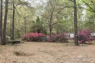 6810 Ingalsbe Dr, Ravenel, SC 29470 - Photo 18