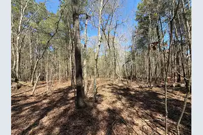 Bhl 13 Boise Cascade #Bhl 13, Bethune, SC 29009 - Photo 18