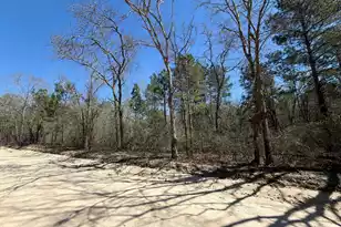 Bhl 13 Boise Cascade #Bhl 13, Bethune, SC 29009 - Photo 32