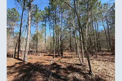 Bhl 13 Boise Cascade #Bhl 13, Bethune, SC 29009 - Photo 12