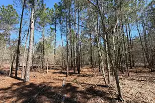 Bhl 13 Boise Cascade #Bhl 13, Bethune, SC 29009 - Photo 12