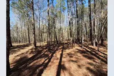 Bhl 13 Boise Cascade #Bhl 13, Bethune, SC 29009 - Photo 24