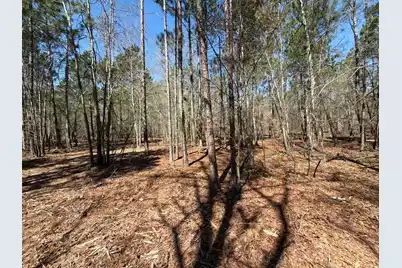 Bhl 13 Boise Cascade #Bhl 13, Bethune, SC 29009 - Photo 6