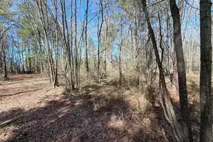 Bhl 13 Boise Cascade #Bhl 13, Bethune, SC 29009 - Photo 28