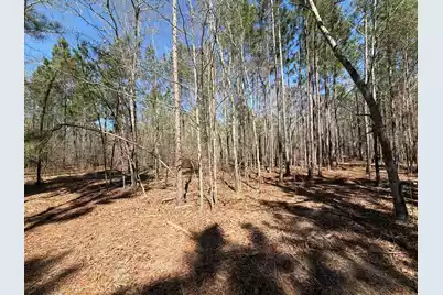 Bhl 13 Boise Cascade #Bhl 13, Bethune, SC 29009 - Photo 2