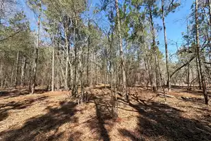 Bhl 13 Boise Cascade #Bhl 13, Bethune, SC 29009 - Photo 16