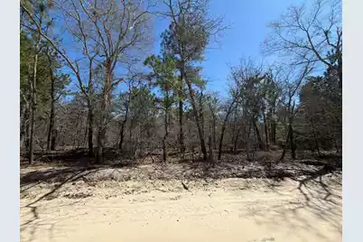 Bhl 13 Boise Cascade #Bhl 13, Bethune, SC 29009 - Photo 34