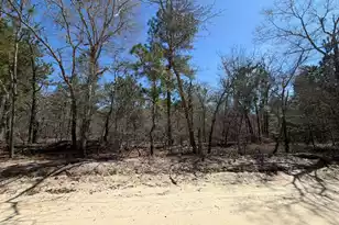 Bhl 13 Boise Cascade #Bhl 13, Bethune, SC 29009 - Photo 34