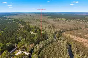 158 Crumley Rd, Walterboro, SC 29488 - Photo 54