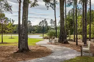254 Maritime Way, Summerville, SC 29485 - Photo 38