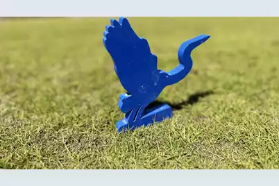 4173 Gnarled Oaks Lane, Johns Island, SC 29455 - Photo 28