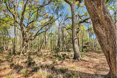4173 Gnarled Oaks Lane, Johns Island, SC 29455 - Photo 12