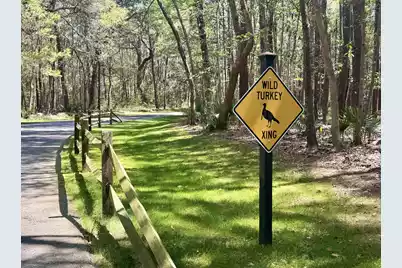 4173 Gnarled Oaks Lane, Johns Island, SC 29455 - Photo 32